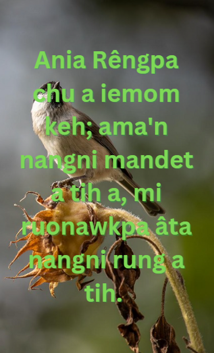 Vate Vate