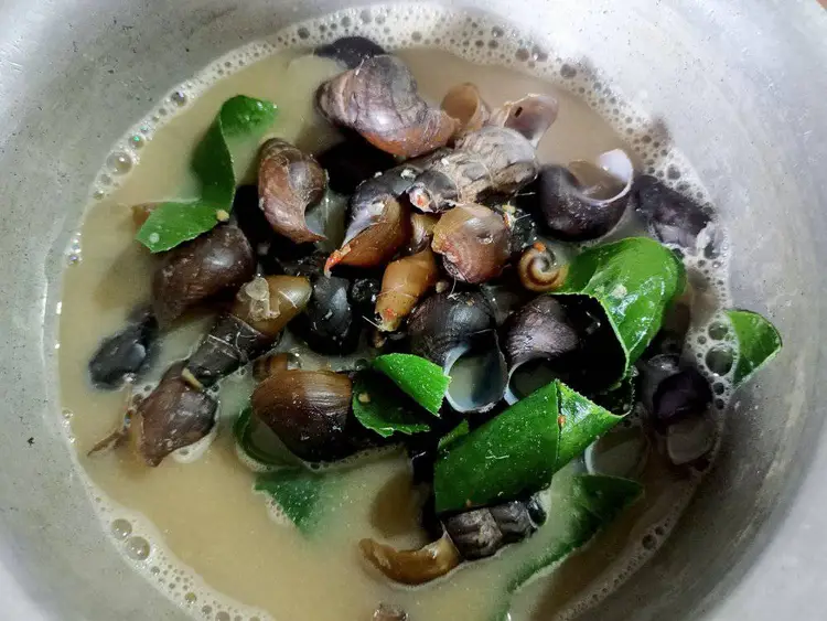 Snail Curry